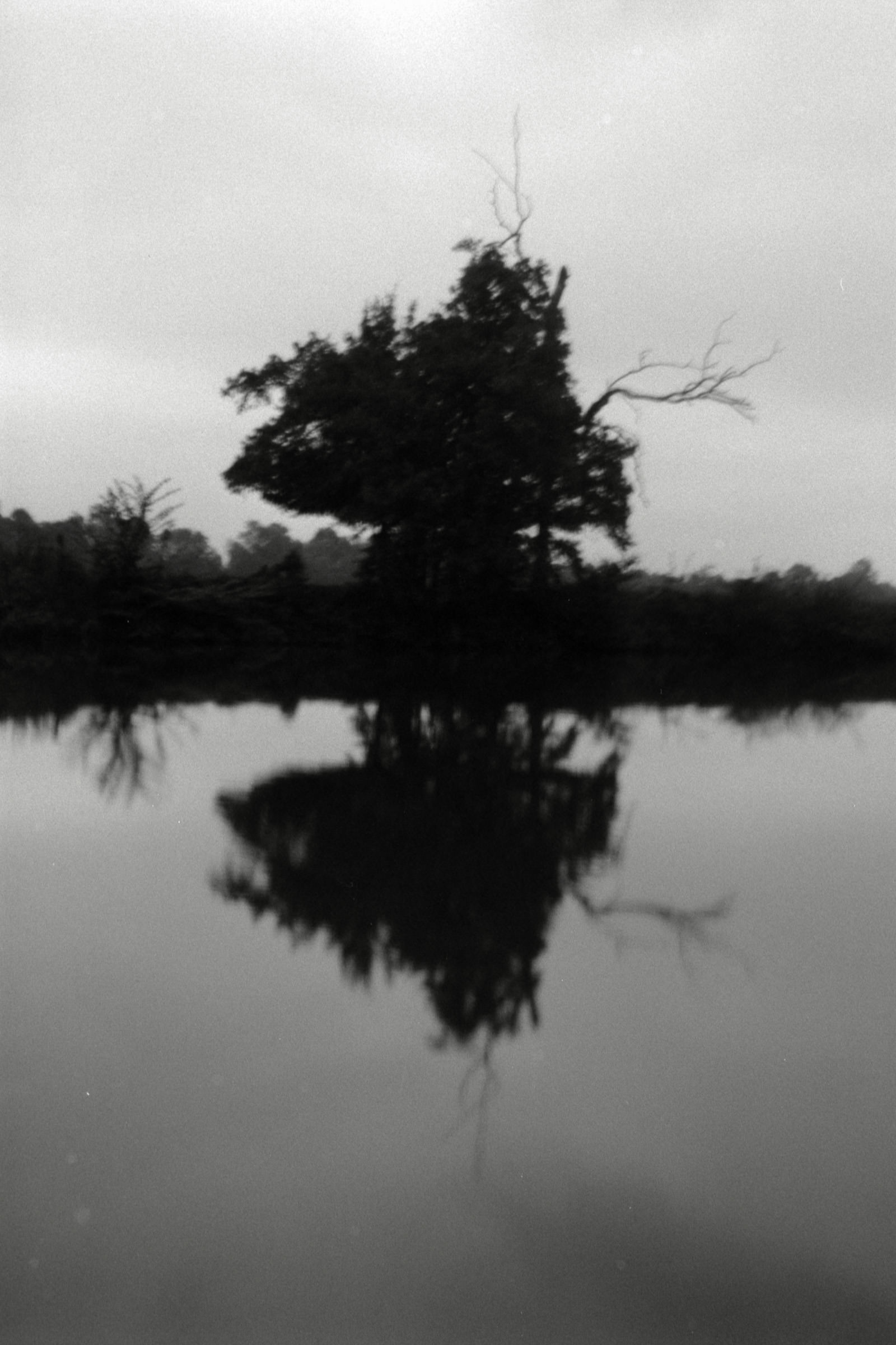 AHP F1990 09 005 sc250506 img33 NLP